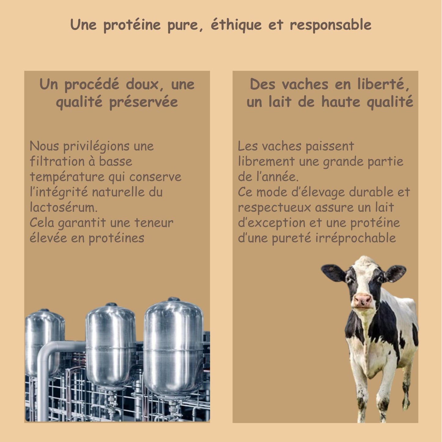 Préparation pour Smoothie & Milkshake | Cookies | Performance - 100 % Pur Protéine