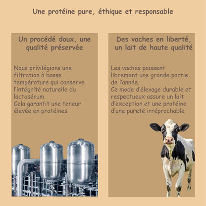 Préparation pour Smoothie & Milkshake | Cookies | Performance - 100 % Pur Protéine